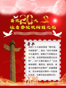 说明: 2022020236 王心雨-喜庆二十大