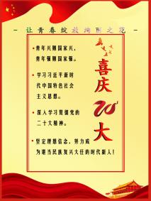 说明: 2021020108蒋凯悦-喜庆20大 让青春绽放绚丽之花