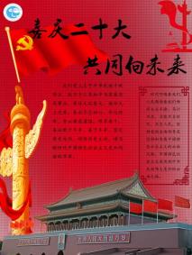 说明: 2022020223闫亦柯喜庆二十大1211